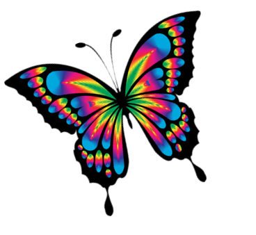 Papillon Créations Ki vif