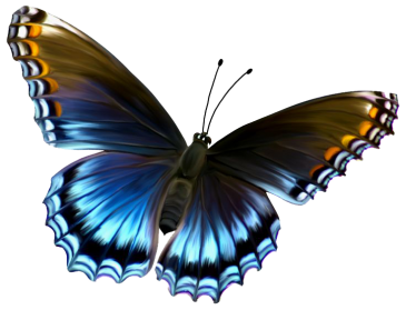 Papillon Créations Ki vif